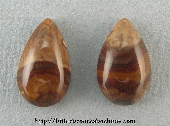 Biggs Canyon Picture Jasper Pair
