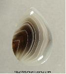Botswana Agate Cabochon Botswana Agate Cabochon