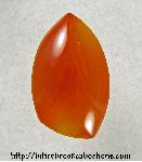 Carnelian Cabochon Carnelian Cabochon