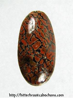 Dinosaur Bone Cabochon