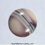Fantasy Jasper Cabochon Fantasy Jasper Cabochon