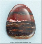 Flame Agate Cabochon Flame Agate Cabochon