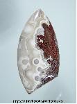 Lace Agate Lace Agate