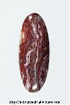 Lace Agate<br>21.5 x 8.5 x 3 Lace Agate<br>21.5 x 8.5 x 3