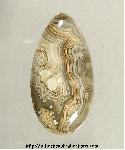 Lace Agate Cabochon Lace Agate Cabochon