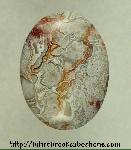 Lace Agate Cabochon Lace Agate Cabochon