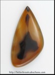 Montana Agate Montana Agate