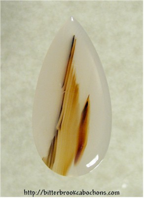 Montana Agate Cabochon