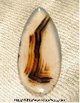 Montana Agate Cabochon Montana Agate Cabochon