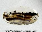 Montana Agate Cabochon Montana Agate Cabochon