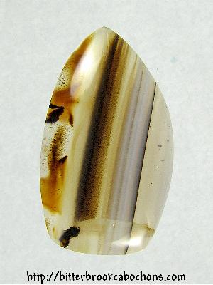 Montana Agate Cabochon