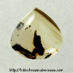 Montana Agate Cabochon Montana Agate Cabochon