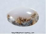 Moss Agate Cabochon Moss Agate Cabochon