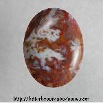 Moss Agate Cabochon Moss Agate Cabochon