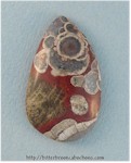 Mushroom Jasper Mushroom Jasper