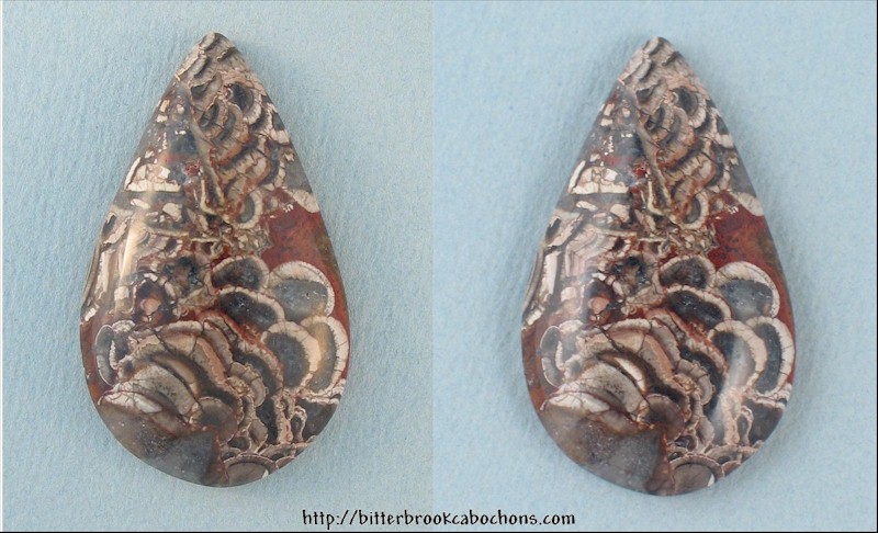 Mushroom Jasper