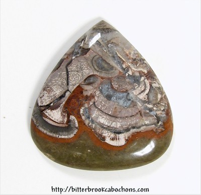 Mushroom Jasper