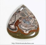 Mushroom Jasper Mushroom Jasper