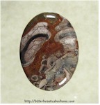 Mushroom Jasper Mushroom Jasper