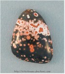 Ocean Jasper Ocean Jasper