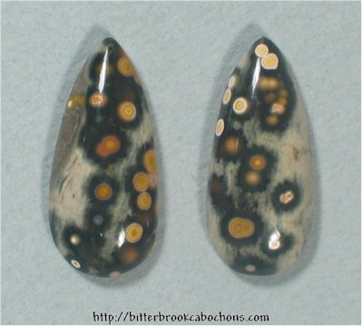 Ocean Jasper Pair