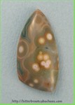 Ocean Jasper Ocean Jasper