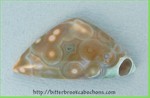 Ocean Jasper Ocean Jasper
