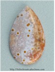 Ocean Jasper Ocean Jasper