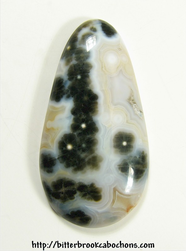 Ocean Jasper
