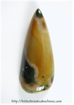 Ocean Jasper Ocean Jasper