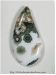Ocean Jasper Ocean Jasper