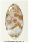 Ocean Jasper Ocean Jasper