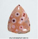 Ocean Jasper Ocean Jasper