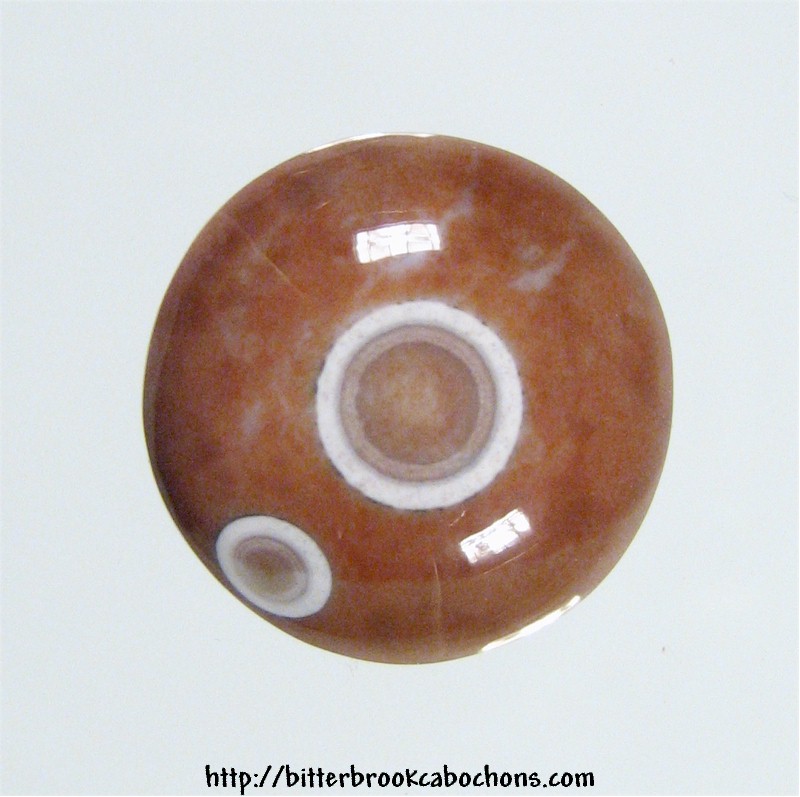 Ocean Jasper Cabochon