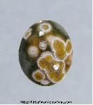 Ocean Jasper Cabochon Ocean Jasper Cabochon