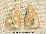 Ocean Jasper Cabochons Ocean Jasper Cabochons