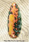 Ocean Jasper Cabochon Ocean Jasper Cabochon