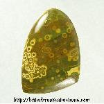 Ocean Jasper Cabochon Ocean Jasper Cabochon
