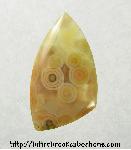 Ocean Jasper Cabochon Ocean Jasper Cabochon