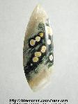 Ocean Jasper Cabochon Ocean Jasper Cabochon