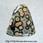 Ocean Jasper Cabochon Ocean Jasper Cabochon