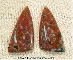 Orbicular Jasper Cabochons Orbicular Jasper Cabochons