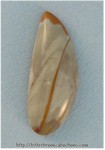 Owyhee Jasper Owyhee Jasper