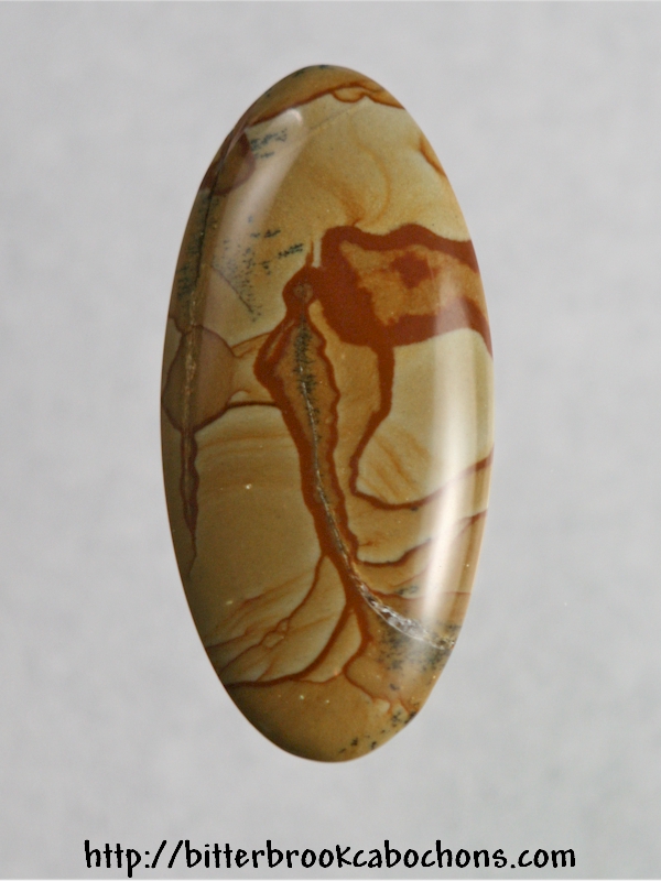 Owyhee Jasper Cabochon