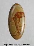 Owyhee Jasper Cabochon Owyhee Jasper Cabochon