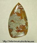 Owyhee Jasper Cabochon Owyhee Jasper Cabochon
