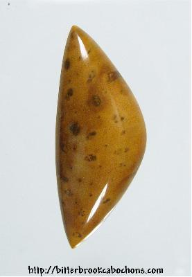 Petrified Palmwood Cabochon