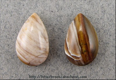 Petrified Wood Pair