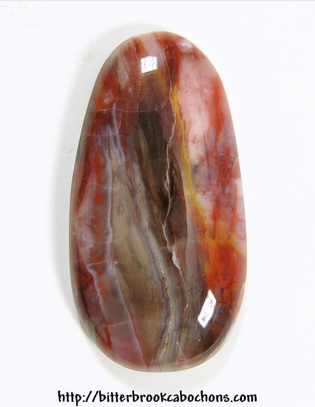 Petrified Wood