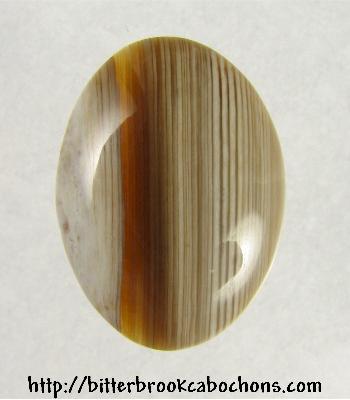 Petrified Wood Cabochon